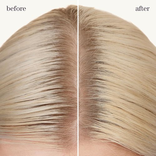 Pureology Style + Protect Dry Shampoo - Refreshing Formula for Oily, Color-Treated Hair | Volumizes & Heat Protects