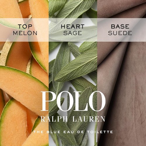 Ralph Lauren Fragrances - Polo Blue Men's Cologne - Fresh Aquatic Scent with Citrus & Sage - 4.2 oz
