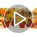 Thanksgiving Fall Wooden Sign Set - 4 Cute Pumpkin Mouse Decor for Home & Table