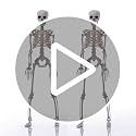 2-Pack 3FT Life Size Posable Halloween Skeletons with Movable Joints for Outdoor Yard Decor