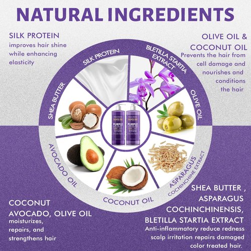 Natural Riches Purple Shampoo & Conditioner Set - Sulfate-Free, Color-Safe for Blonde & Gray Hair | 16 fl oz Each