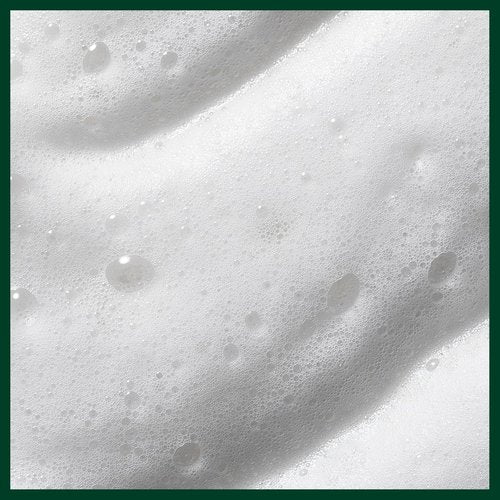 Aveda Nutriplenish Styling Foam - Nourishing Treatment for Healthy, Voluminous Hair
