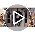 Black Halloween Cedar Wreath 20 Inch Artificial Seasonal Decoration for Front Door & Wall
