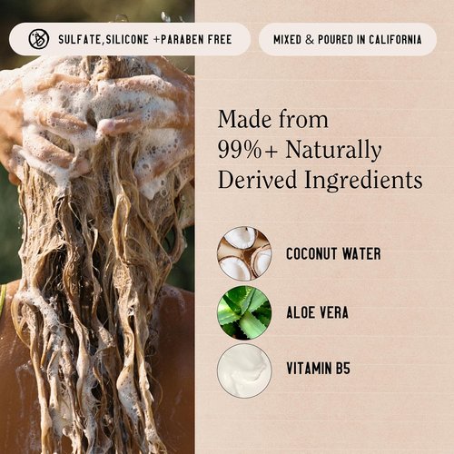California Naturals Coconut Shampoo - Sulfate Free Scalp & Hair Care for All Hair Types | 20 fl oz