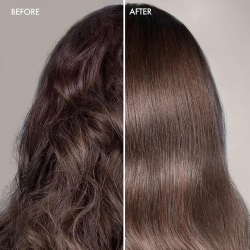Skiennix Protect and Shine | Lightweight Thermal Protection for Frizz Control - 3.4 Oz