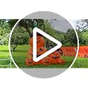 6FT Halloween Inflatable Pumpkins with Black Cat and Bright LED Lights - Outdoor Yard Decor - Variation: 6FT Pumpkins