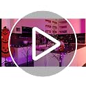 Halloween Black Tree Lights Set - 4Ft 2-Pack with Orange & Purple LEDs - Variation: Orange & Purple / 4Ft 2Pack