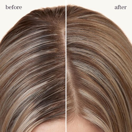Pureology Style + Protect Dry Shampoo - Refreshing Formula for Oily, Color-Treated Hair | Volumizes & Heat Protects