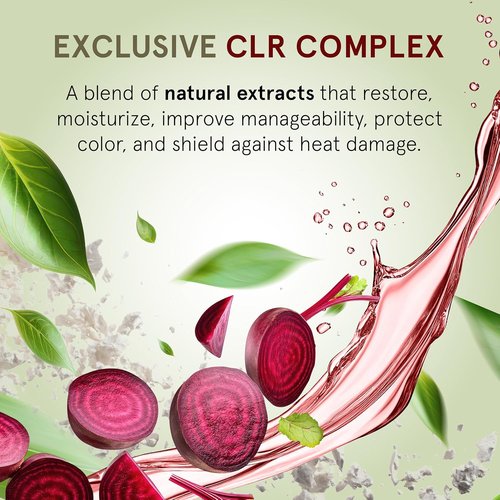 Inoar DayMoist Shampoo - Deep Hydration & Repair with Argan Oil Complex | 16.9 Fl Oz