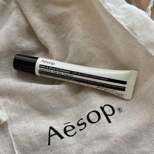 Aesop Cedar & Citrus Lip Balm - Nourishing Treatment for Dry, Chapped Lips | Smooth Oil-Gel Formula | 0.3 Fl Oz