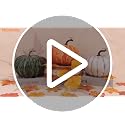 White 6.5 Inch Artificial Foam Pumpkin for Fall & Halloween Home Decor - Variation: White