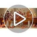 Artificial Autumn Eucalyptus Leaves Stem - Fall Decor, 33 Inches, Dark Red (Set of 3)