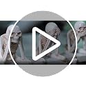 Halloween Skeleton Statues Set of 3 - Resin Gothic Skeleton Decor - See No Evil Hear No Evil Speak No Evil