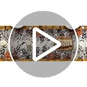 Halloween Table Runner 13x108 Inch Home Party Decor Beige Brown