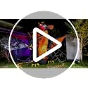 Giant Halloween Inflatable Double Headed Dragon - 9.5 FT Outdoor Yard Decoration with LED Lights