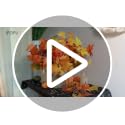 Artificial Maple Leaves Branches - 8PCS 14 Inch Faux Fall Leaves Stem in Orange for Fall Decor & Thanksgiving Centerpieces