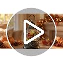 Fall Snow Globe Lantern - 10'' Thanksgiving Water Globe with Turkey in Pumpkin - Autumn Decor