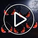Halloween Flashing Spooky Eyes Lights 10 Pack - Realistic Light-Up Eyes with 3 Modes & Timer