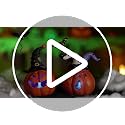 Halloween Pumpkin Decor Set with Light - Resin Jack O Lantern Figurines for Home & Party