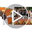 Halloween Waterproof Plastic Tablecloth 54x72 Inches - 3 Pack Party Cover