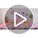 Halloween Baby Shower Tableware Set - Pink & Black Party Supplies for Girls