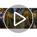 Green Monster Party Decorations Swamp Theme Halloween Decor Set