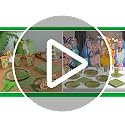 Green Foil Dinosaur Disposable Party Tableware Set for Kids Birthday, Serves 24