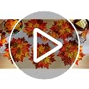 Fall Thanksgiving Maple Leaf Placemats Set of 6 - 15 Inch Multicolor Layered Design