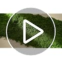 Artificial Moss Table Runner for Halloween Party Decor - Green - 6 Pack