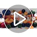 Artificial Velvet Pumpkins Set - Large Fake Halloween Decor, Champagne Variation