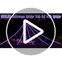 Purple Halloween Spider Web Lights 290 LED 23 Ft Outdoor Indoor Decoration