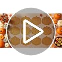 Thanksgiving Pumpkin Placemats Vinyl Metallic Bronze - Set of 12