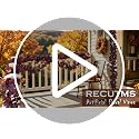 Fall Leaves Garland with Burgundy Maple & Black Rose Accents - 11.4ft Decorative Vine