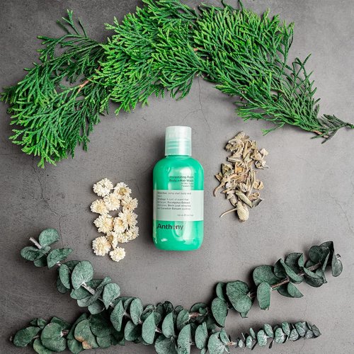 Anthony Men's Body Wash & Shampoo - Invigorating 2-In-1 Liquid Gel Soap with Pine Wood Scent | 3.4 Fl. Oz
