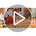 Artificial Fall Leaves Stems 4Pcs White Beech Branches for Decor