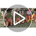 12 Ft Lighted Inflatable Santa on Sleigh with 3 Reindeer for Christmas Yard Decor