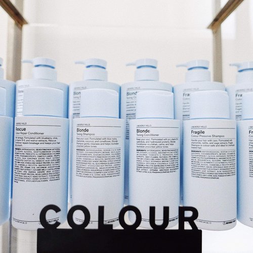 J Beverly Hills Blue Blonde Toning Shampoo - Deep Conditioning with Coconut Oil | 12 Oz & 32 Oz Options