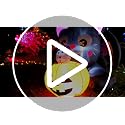 5 Ft Halloween Inflatable Cat with Pumpkin Outdoor Decor, LED Lights