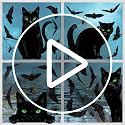 Halloween Window Clings - Large Black Cat, Bat & Spider Silhouette Decals