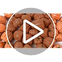 Mini Resin Pumpkins 50-Piece Fall Decor Set for Halloween & Thanksgiving