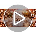 White 4-Pack 120-Inch Round Fitted Outdoor Tablecloths for 5FT Tables - Polyester for Weddings & Parties - Variation: White / 60 Inch