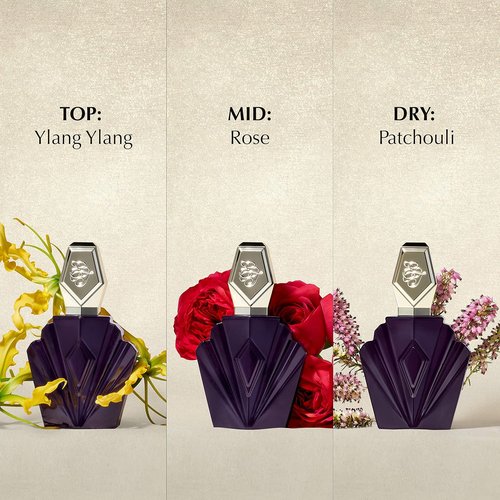 Elizabeth Taylor Passion Women's Fragrance Gift Set - 1.5 Fl Oz | Elegant Scent for Every Occasion