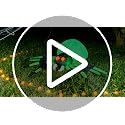 6 FT Inflatable Green Spider Halloween Yard Decoration with LED Lights