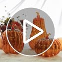 Set of 3 Glass Pumpkin Lights with Timer - Fall Halloween Thanksgiving Decor