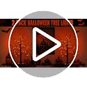 Orange Variation 2-Pack 24-Inch Black Halloween Tree with Orange Lights - Indoor Spooky Decor