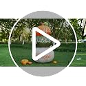 6.4 ft Fall Pumpkin Inflatable with LED Lights, Weather-Resistant Thanksgiving Decor