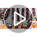 Gold Thanksgiving Tinsel Garland 66Ft Glitter Maple Leaf Decor for Autumn & Holiday Parties