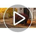 Fall Artificial Boxwood Plants Fake Greenery for Outdoor Decoration - Brown Variation