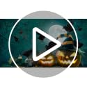 Realistic Feathered Black Crow Decorations Set for Halloween & Autumn