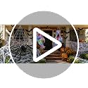 Outdoor Halloween Decorations Set with Web, Spider, Ghosts & Bats - Spooky Yard Decor Bundle
